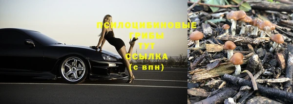 прущие крисы Ветлуга