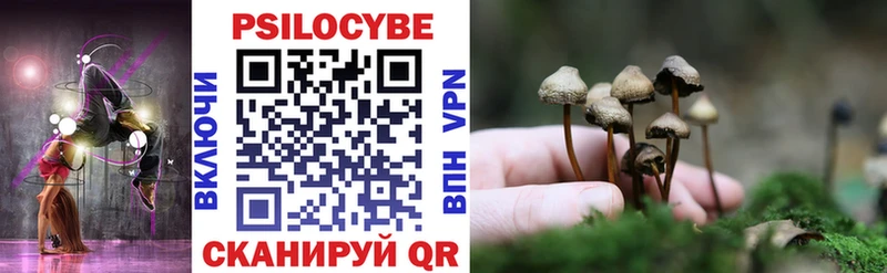 Псилоцибиновые грибы GOLDEN TEACHER  Сертолово 