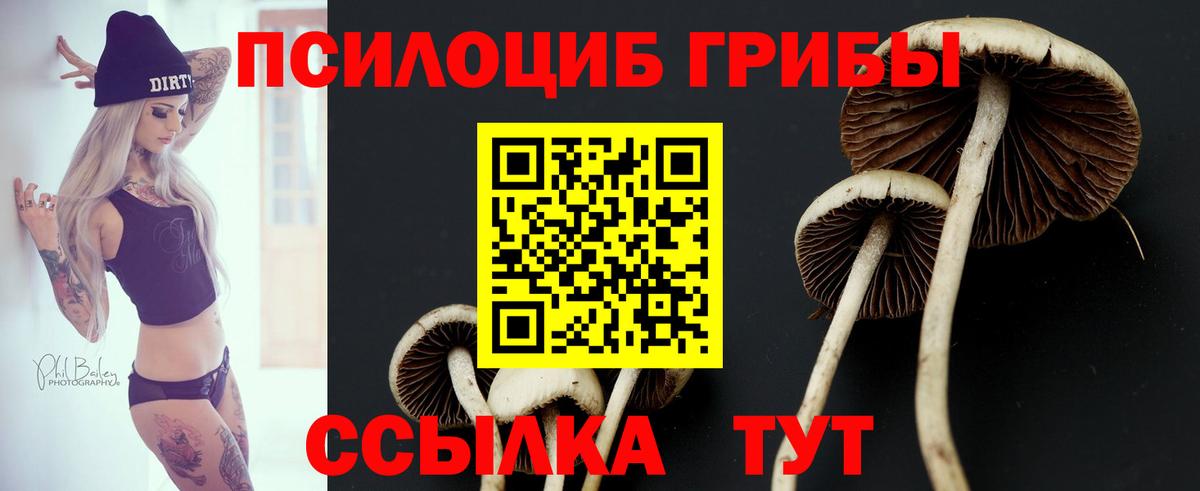 Псилоцибиновые грибы GOLDEN TEACHER  Вход с VPN  Псилоцибиновые грибы Psilocybine cubensis  Сертолово 